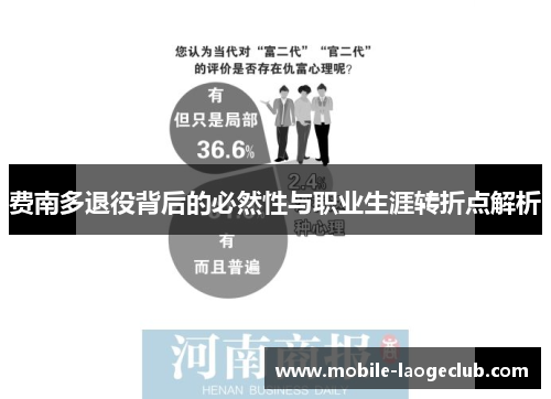 费南多退役背后的必然性与职业生涯转折点解析