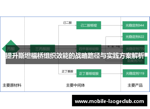 提升斯坦福桥组织效能的战略路径与实践方案解析