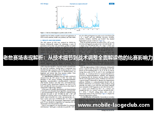 老詹赛场表现解析：从技术细节到战术调整全面解读他的比赛影响力