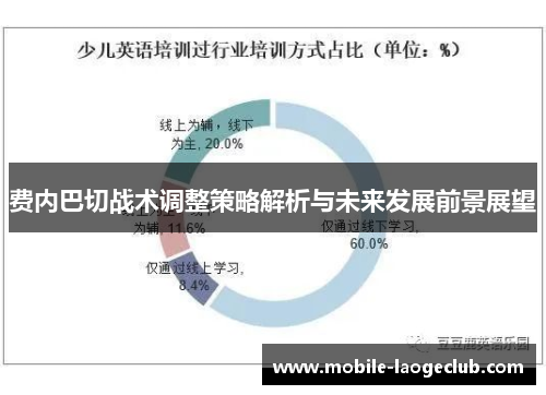 费内巴切战术调整策略解析与未来发展前景展望
