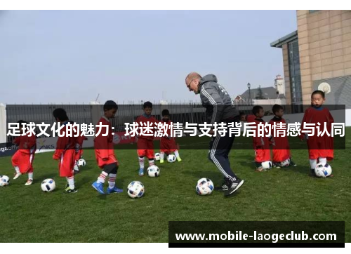 足球文化的魅力：球迷激情与支持背后的情感与认同
