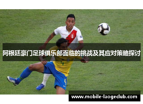 阿根廷豪门足球俱乐部面临的挑战及其应对策略探讨